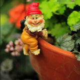 High-6cm,Flowerpot Decoration,Mini Cap Dwarf Potted