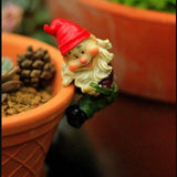 High-6cm,Flowerpot Decoration,Mini Cap Dwarf Potted